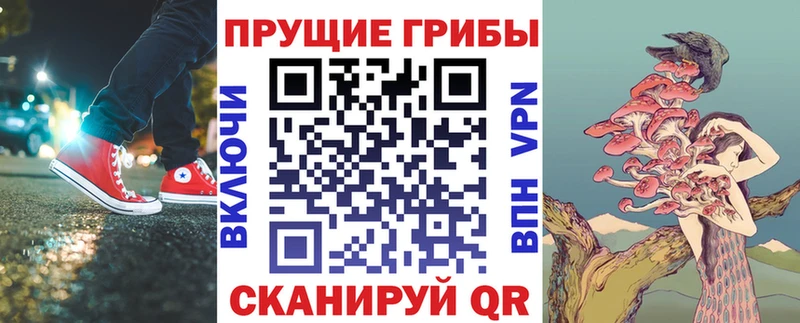 Псилоцибиновые грибы Magic Shrooms  omg ссылки  Харовск  купить  